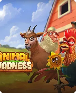 Animal Madness